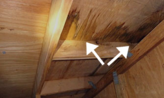 wet plywood in attic