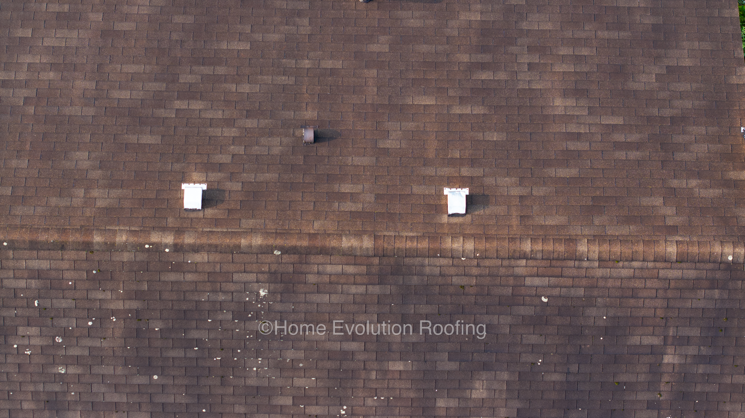 Roof cleaning in Utica, NY: Removing algae and moss buildup from asphalt shingles to prevent damage and extend roof life.