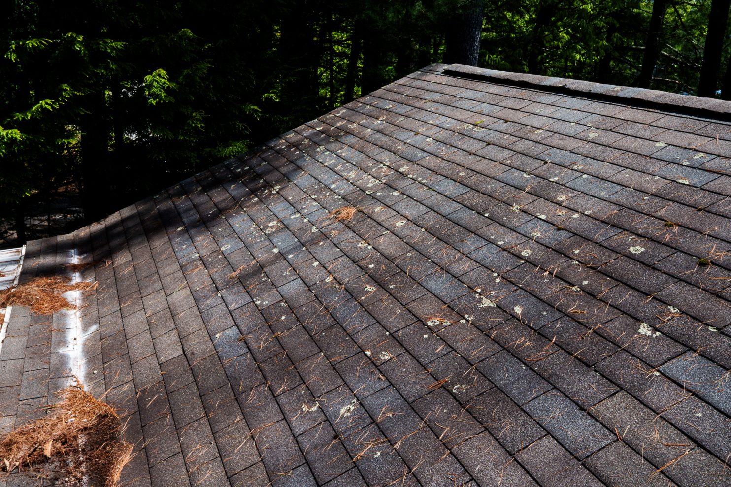 Roof repair crew working near a university neighborhood in Oneonta