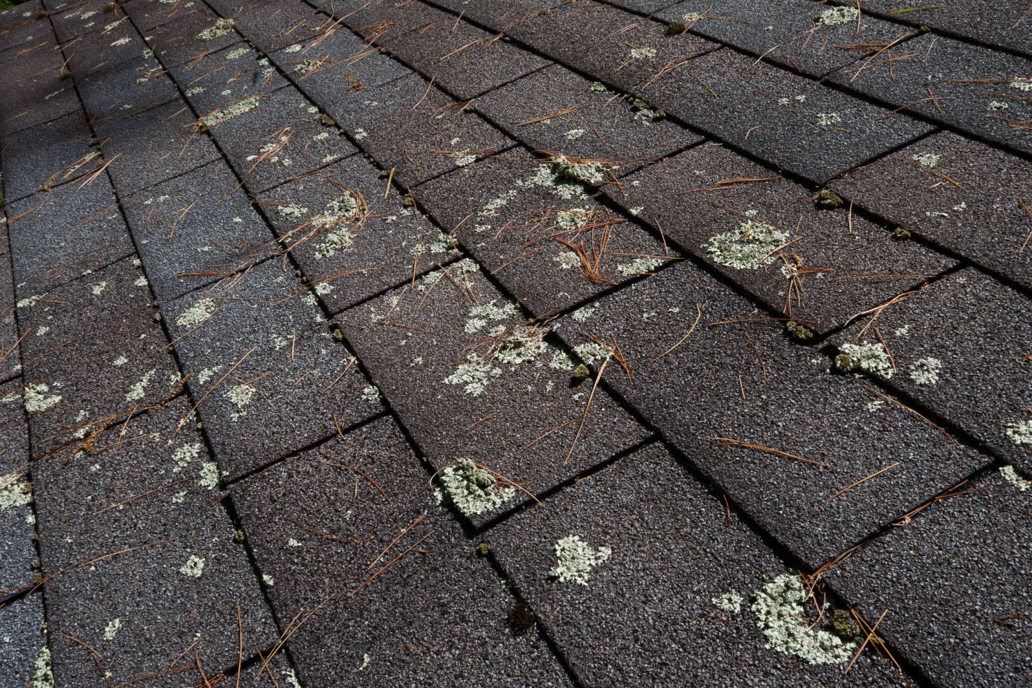 Historic Albany home receiving professional roof repair